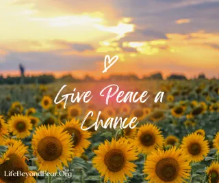 Cultivating a New Paradigm: Embracing Alternative Thinking and Radical Acceptance to Transcend Conflict