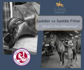 Saddler vs Saddle Fitter, What is the difference?