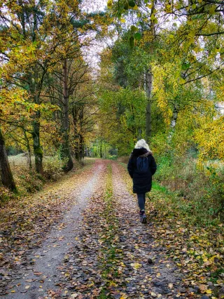 Wellness and Fitness Tips for the Fall Season