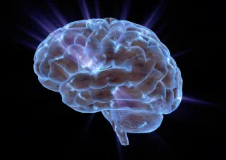 What is neurocentric Rehab?