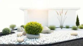What to Know Before Buying White Stones Online