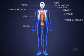 Understanding the 'Fluid' Nature of Axial Spondyloarthritis: A Key to Preventing Serious Outcomes