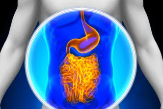 Exploring the Gut-Arthritis Link: How Microbiome Imbalance May Influence Inflammation and Autoimmunity