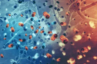Hope, Healing, and Real-World Solutions for Modern Health Challenges