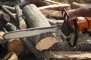 The 4 best chainsaws you can get out there!

