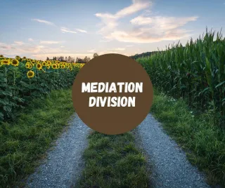 The Top 5 Misconceptions About Mediation—Debunked