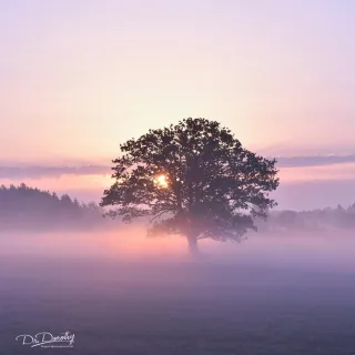 Legacy with Love: The Quiet Power That Shapes What Endures