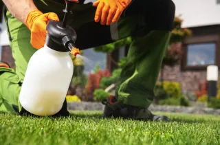 How To Remove Weeds Growing On Your Artificial Turf