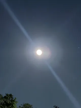 Howling at the Moon: A Family Tradition