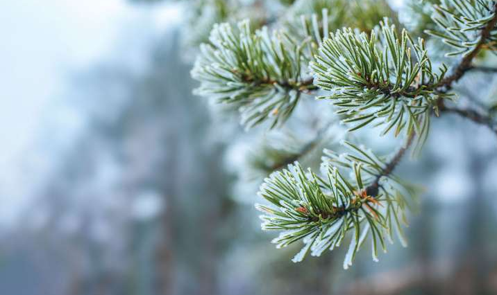 Votre trousse aroma pour l'hiver