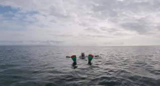 Stress Halts Creativity