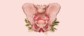 Understanding Pelvic Health: A Guide to Women's Well-being