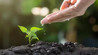 The Hidden Cost of “Unplanned Growth” in Not-for-Profits