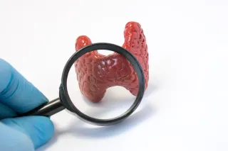 Functional Medicine: The Renaissance in Thyroid Health Treatment