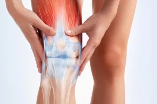 Knee Arthritis and Treatment Options: From Conservative to Less Conservative Approaches