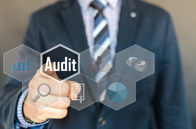 Supplier Audit Automation