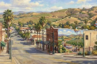 Video Pipe Inspection in Vista, CA | Call Roto-Rooter Vista