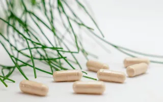 The Power Duo: Prebiotics and Probiotics for Gut and Hormone Health