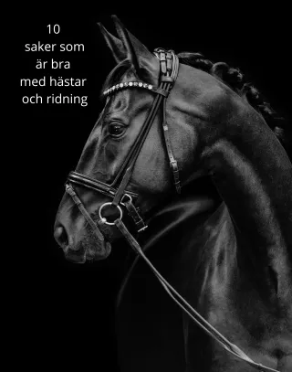 10 bra saker