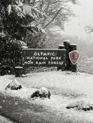 Not the Quietest ​Place on Earth
