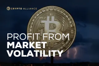 How to Profit from Market Volatility