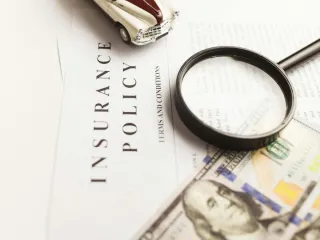 Document Preparation and Formatting: How Virtual Assistants Ensure Professional Presentation