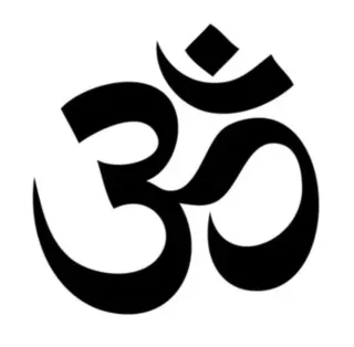 The Consciousness Issue