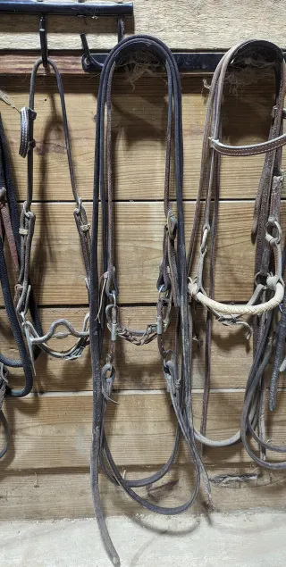 Tack Tip: Hanging Up Your Bridles