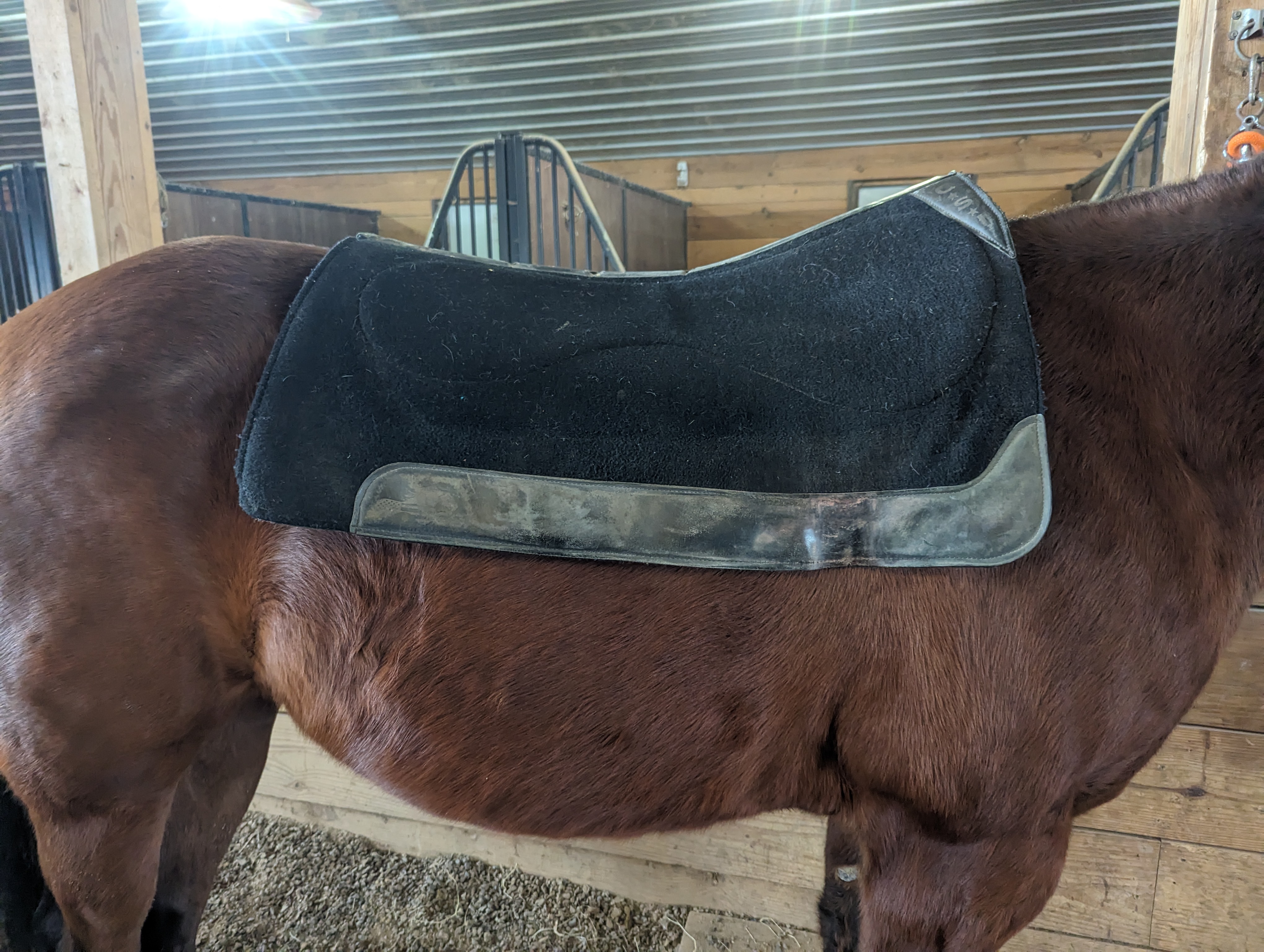 Tack Tip: Keep Your Saddle Pad ON Your Horse While You Get Your Saddle
