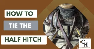 Tack Tip: How to Tie Up Your Reins- Half Hitch