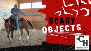 Introducing Scary Objects