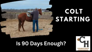 Colt Starting: 90 days is Nothing in a Horse's Life