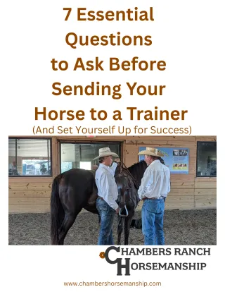7 Essential Questions to Ask Before Sending Your Horse to a Trainer