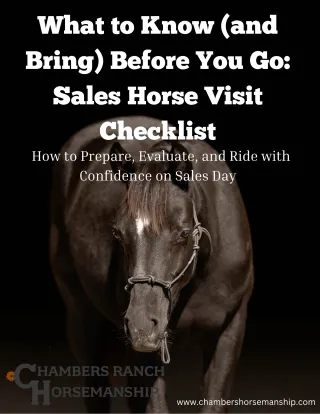 What to Know (and Bring) Before You Go: Sales Horse Visit Checklist