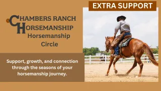 Why We Built the Horsemanship Community (and How It Can Help You)