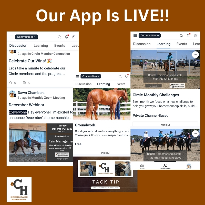 Our App Is Available!!