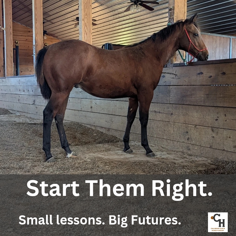 Foundational Series Part 1: Start Them Right: Why the Small Lessons Matter