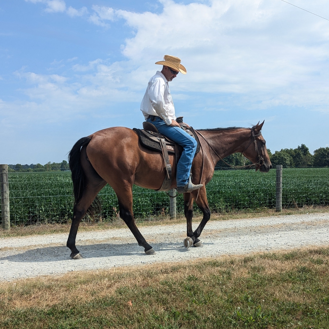 Where Most Riding Problems Really Start