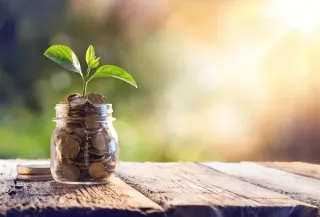 Saving or Securing? The Truth About HYSA and Whole Life Insurance