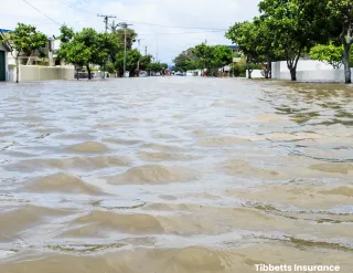Flood Insurance in Louisiana: What You Need to Know