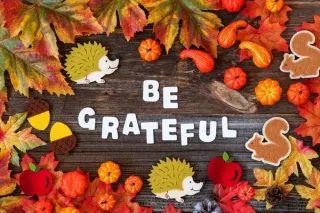 Teaching Gratitude: Engaging Ways to Help Children Understand and Express Gratitude 🙏🌳