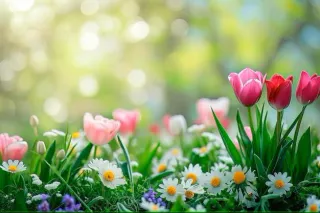 Spring into Action 🌼🐣