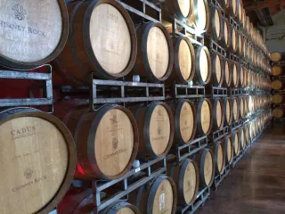 🍇 Vixen Hill Winery: Sip, Relax, and Enjoy the Decatur Vibes