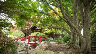 🌸 Bloom & Grow: Discover the Civic Garden Center of Decatur – Decatur, IL