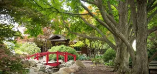 🌳 Columbia Park in Decatur, IL: A Local Gem for Relaxation and Fun