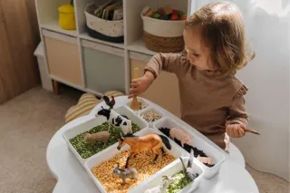 From Fear to Flavour: Supporting Texture Exploration for Neurodivergent and Picky Eaters
