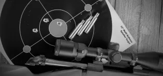 Reloading Brass: The Rising Trend in Shooting Sports