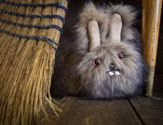 Spring Cleaning…and I Don’t Mean Just Dust Bunnies!