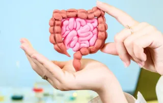 Leaky Gut: The Hidden Cause of Your Fatigue, Bloating, and Brain Fog