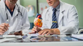 The Role of Testing in Cardiometabolic Risk: A Functional Medicine Perspective